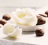 Nigerian shea butter shipped worldwide for skincare, cosmetics, and health uses